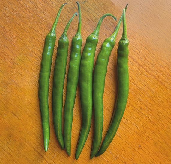 chilli-in-523