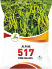 chilli-pk-517
