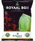 cotton-royelbgII