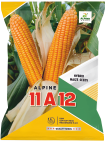 maize-11a12