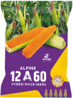 maize-12a60