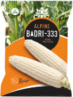 maize-badri-333