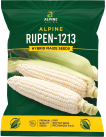 maize-rupen-1213