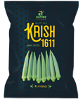 okra-1611