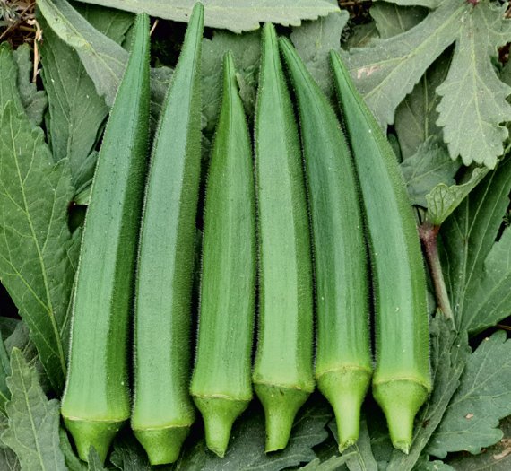 okra-ami
