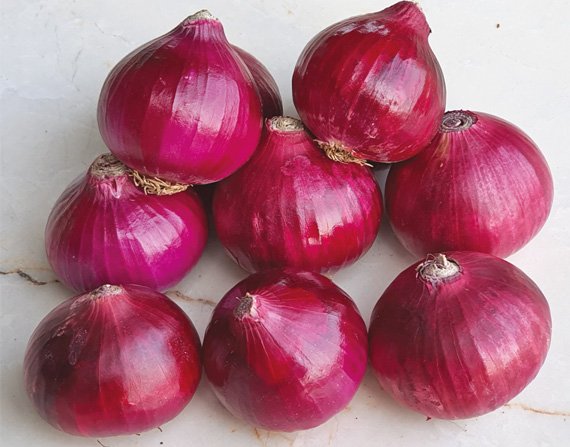 onion-lalb