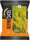 paddy-3435