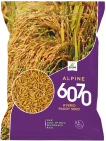 paddy-6070