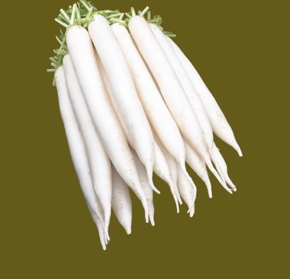 radish-white
