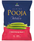 spoung-gourd-pooja