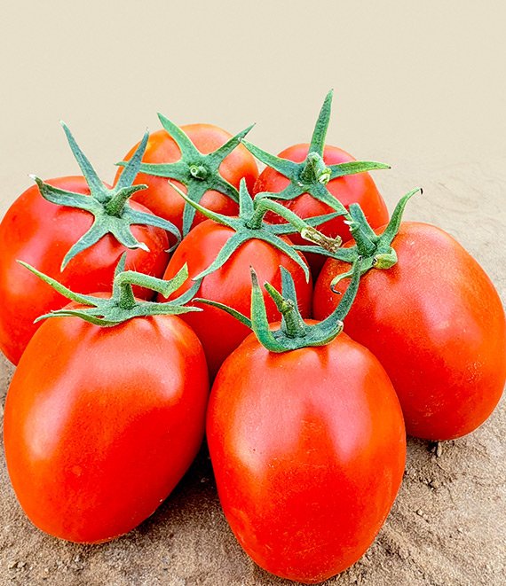 tomato-konda