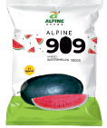 watermelon-909