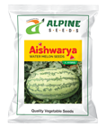  watermelon-ais